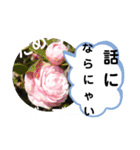 たけしのスタンプ その19（個別スタンプ：10）