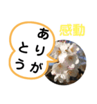 たけしのスタンプ その19（個別スタンプ：12）
