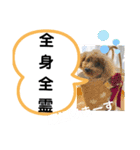 たけしのスタンプ その19（個別スタンプ：13）
