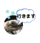 たけしのスタンプ その19（個別スタンプ：14）