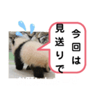 たけしのスタンプ その19（個別スタンプ：15）