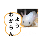 たけしのスタンプ その19（個別スタンプ：16）