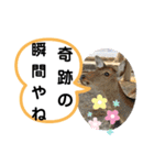 たけしのスタンプ その19（個別スタンプ：18）