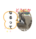 たけしのスタンプ その19（個別スタンプ：20）
