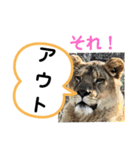 たけしのスタンプ その19（個別スタンプ：23）
