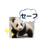 たけしのスタンプ その19（個別スタンプ：24）