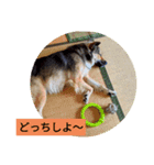 気まぐれマー君partⅡ（個別スタンプ：3）