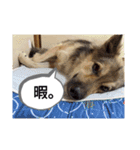 気まぐれマー君partⅡ（個別スタンプ：4）