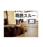 気まぐれマー君partⅡ（個別スタンプ：5）