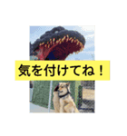 気まぐれマー君partⅡ（個別スタンプ：8）
