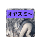 爽やかスタンプ☆5（個別スタンプ：5）