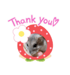 にゃんこリトルブラザーズ2 おまけ付き（個別スタンプ：3）