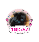 にゃんこリトルブラザーズ2 おまけ付き（個別スタンプ：9）