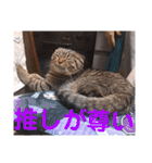 にゃんこリトルブラザーズ2 おまけ付き（個別スタンプ：18）