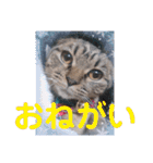 にゃんこリトルブラザーズ2 おまけ付き（個別スタンプ：20）