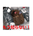 にゃんこリトルブラザーズ2 おまけ付き（個別スタンプ：27）