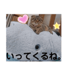 にゃんこリトルブラザーズ2 おまけ付き（個別スタンプ：30）
