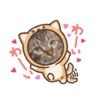 にゃんこリトルブラザーズ2 おまけ付き（個別スタンプ：31）