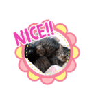 にゃんこリトルブラザーズ2 おまけ付き（個別スタンプ：32）