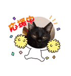 にゃんこリトルブラザーズ2 おまけ付き（個別スタンプ：34）