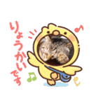 にゃんこリトルブラザーズ2 おまけ付き（個別スタンプ：37）