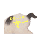 HAPPY鍵しっぽキー（個別スタンプ：4）
