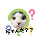 HAPPY鍵しっぽキー（個別スタンプ：21）