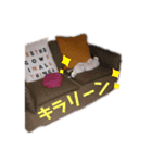 HAPPY鍵しっぽキー（個別スタンプ：24）