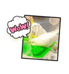 アルビノインコ きーちゃん5弾！（個別スタンプ：9）