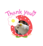 アルビノインコ きーちゃん5弾！（個別スタンプ：16）