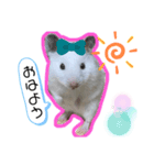 ラッキースタンプ。（個別スタンプ：1）