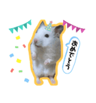 ラッキースタンプ。（個別スタンプ：3）
