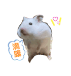 ラッキースタンプ。（個別スタンプ：7）