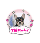じろの日常6（個別スタンプ：7）