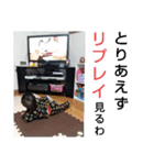 どそ 親子（個別スタンプ：8）