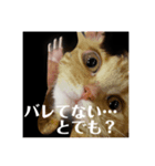 猫菩薩（個別スタンプ：2）