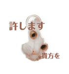 猫菩薩（個別スタンプ：5）