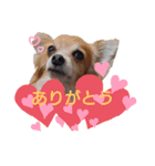 ゆうたといろいろ。（個別スタンプ：4）