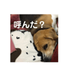 色々使えるぷらむちゃん（個別スタンプ：2）