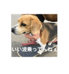 色々使えるぷらむちゃん（個別スタンプ：6）