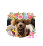 RONI♡LUKE③（個別スタンプ：1）