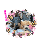 RONI♡LUKE③（個別スタンプ：3）