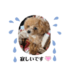 RONI♡LUKE③（個別スタンプ：6）