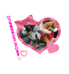 RONI♡LUKE③（個別スタンプ：10）