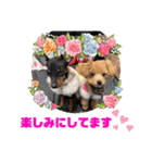 RONI♡LUKE③（個別スタンプ：11）