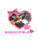 RONI♡LUKE③（個別スタンプ：13）