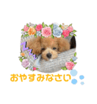 RONI♡LUKE③（個別スタンプ：19）