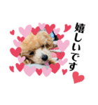 RONI♡LUKE③（個別スタンプ：22）