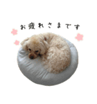 むぎたろさん（個別スタンプ：3）