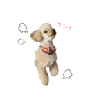 むぎたろさん（個別スタンプ：11）